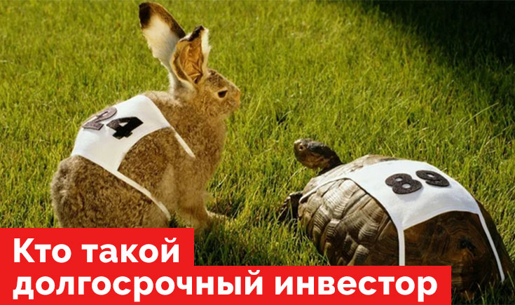 Долгосрочный инвестор